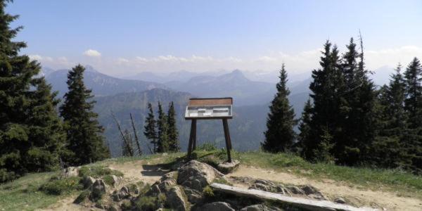 Alpenrose