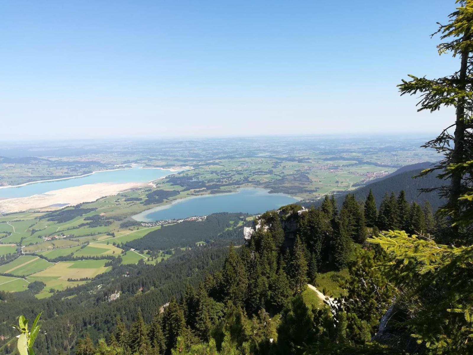 Alpenrose * Nesselwang