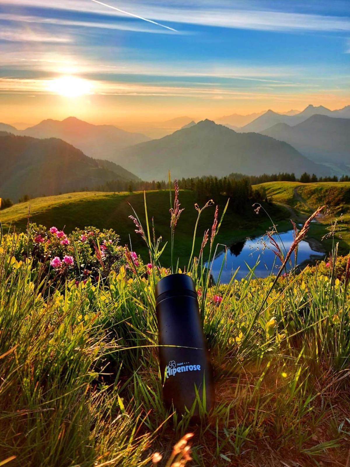 Alpenrose Nesselwang